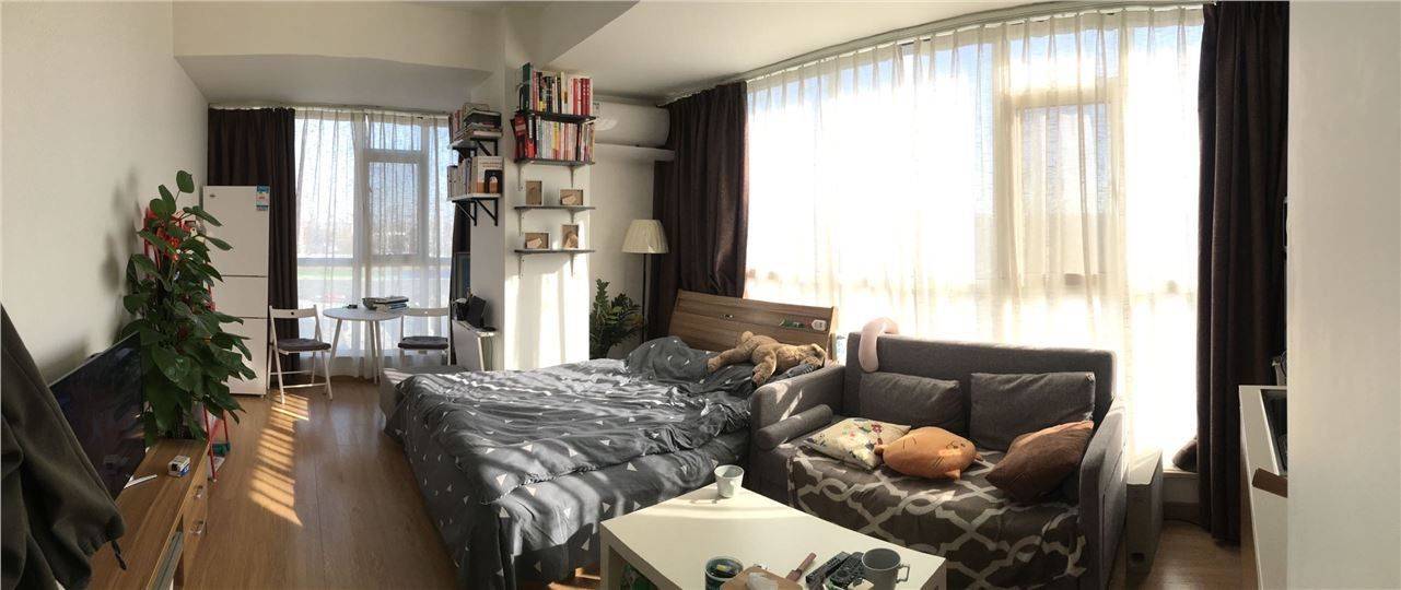 Beijing-Chaoyang-Cozy Home,Clean&Comfy,No Gender Limit,LGBTQ Friendly,Pet Friendly