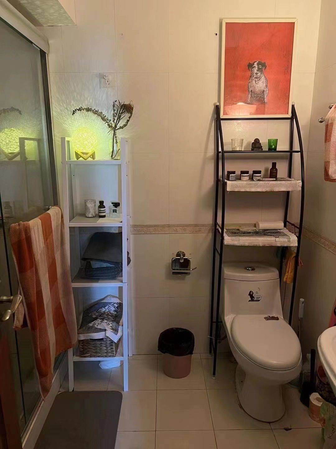 Shanghai-Jing‘An-Cozy Home,Clean&Comfy,No Gender Limit,Hustle & Bustle