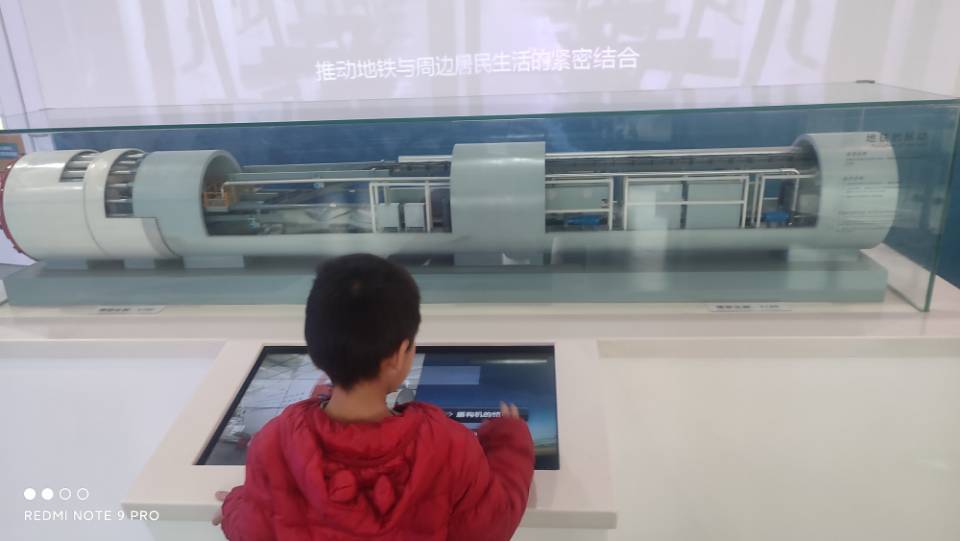 壮壮虎