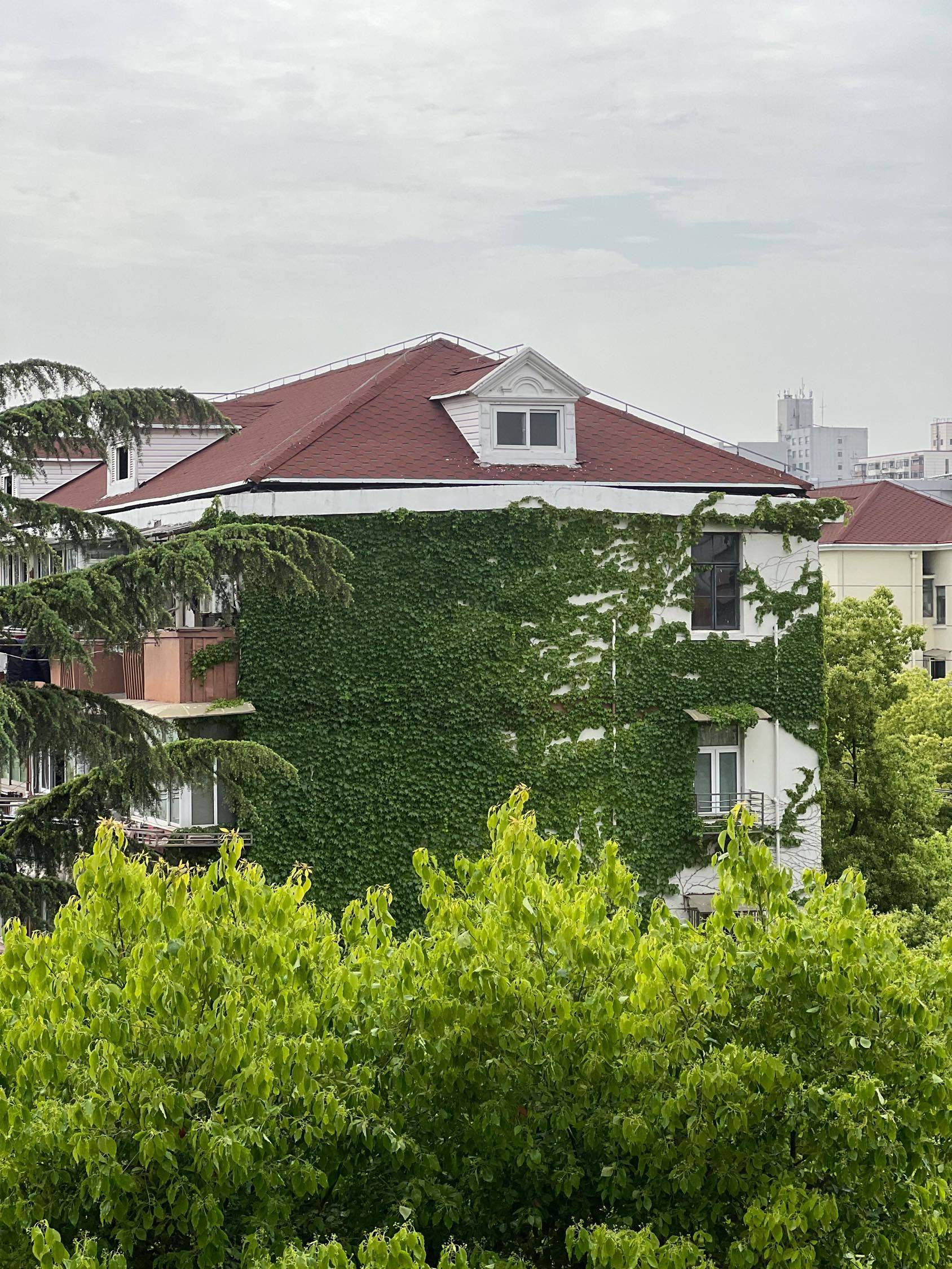 Shanghai-Hongkou-Cozy Home,Clean&Comfy,No Gender Limit,Hustle & Bustle,“Friends”,Chilled,LGBTQ Friendly,Pet Friendly
