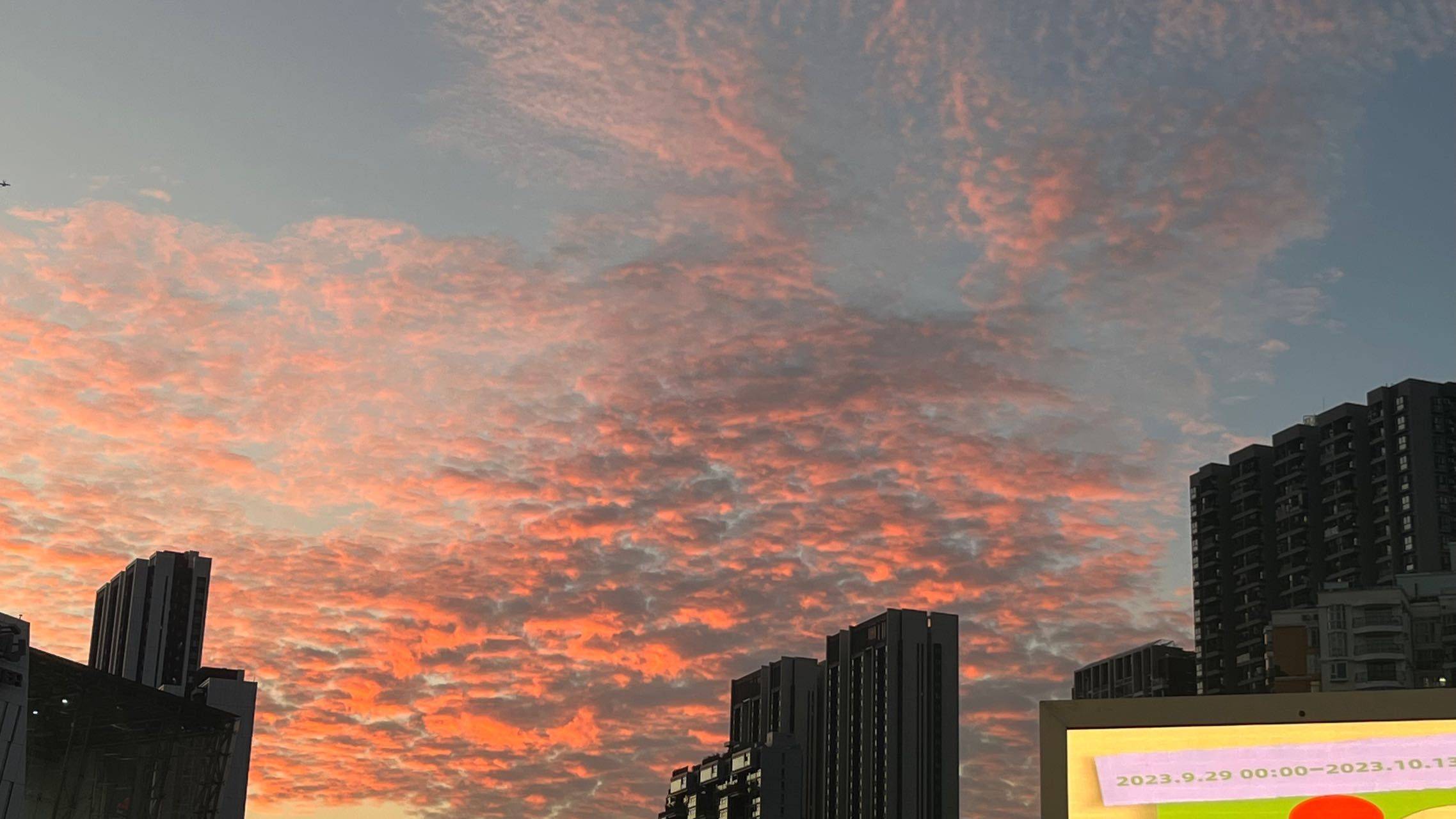 小菇凉