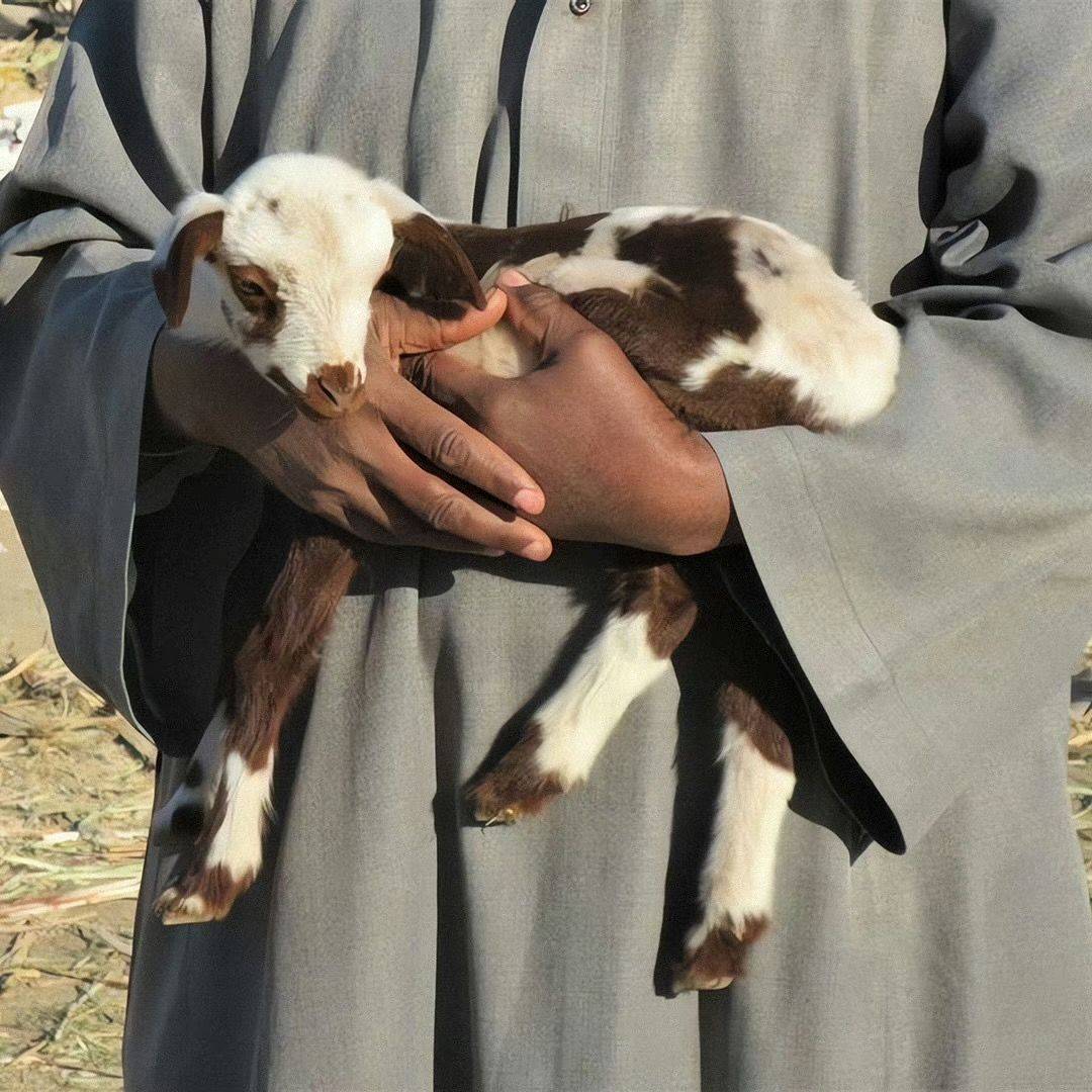 947