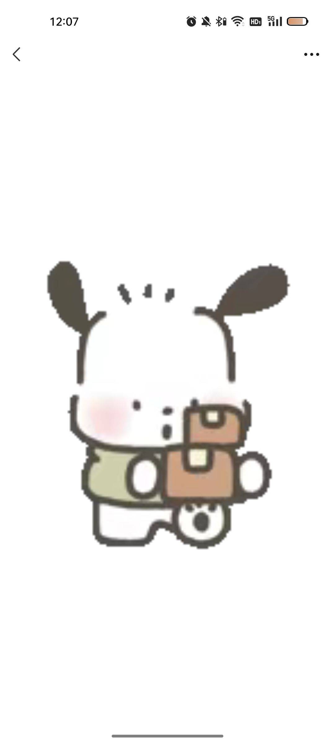 肖肖
