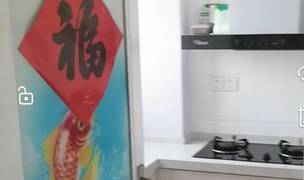 Hefei-Shushan-指纹锁,正大广场,复式,万象城,中央空调,洗烘一体洗衣机,Single Apartment,Long Term