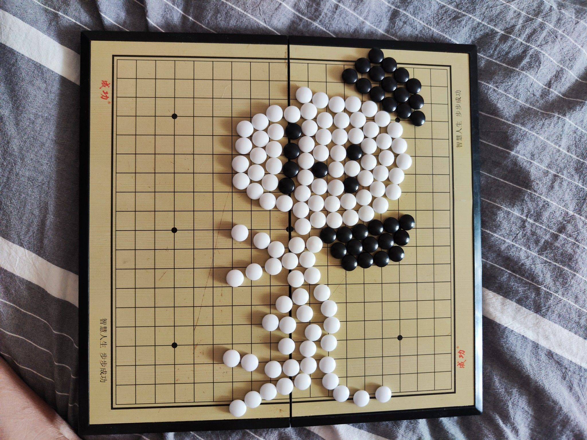 栾飒飒