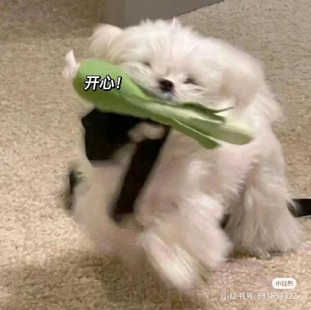 小王子