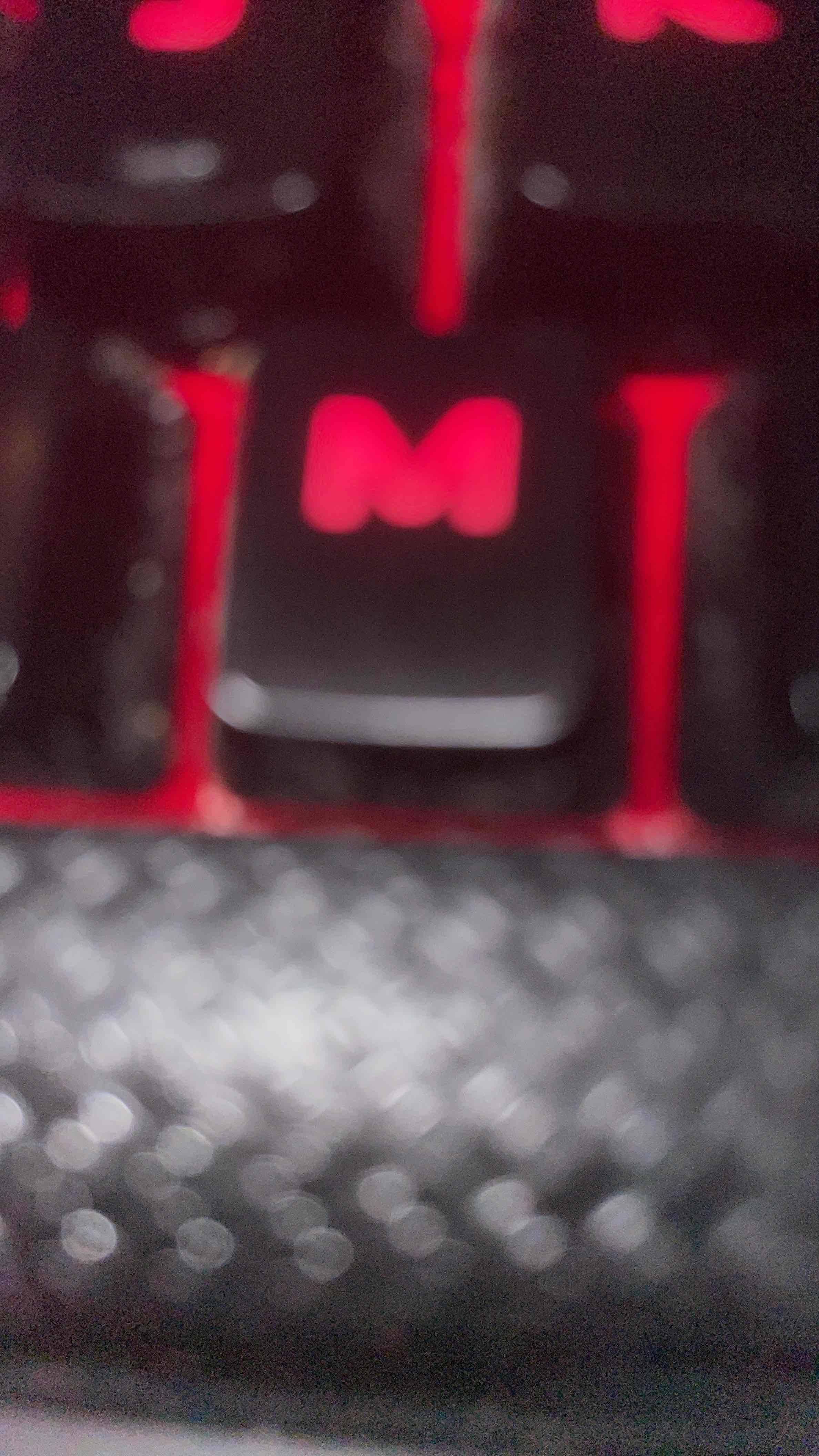 小白