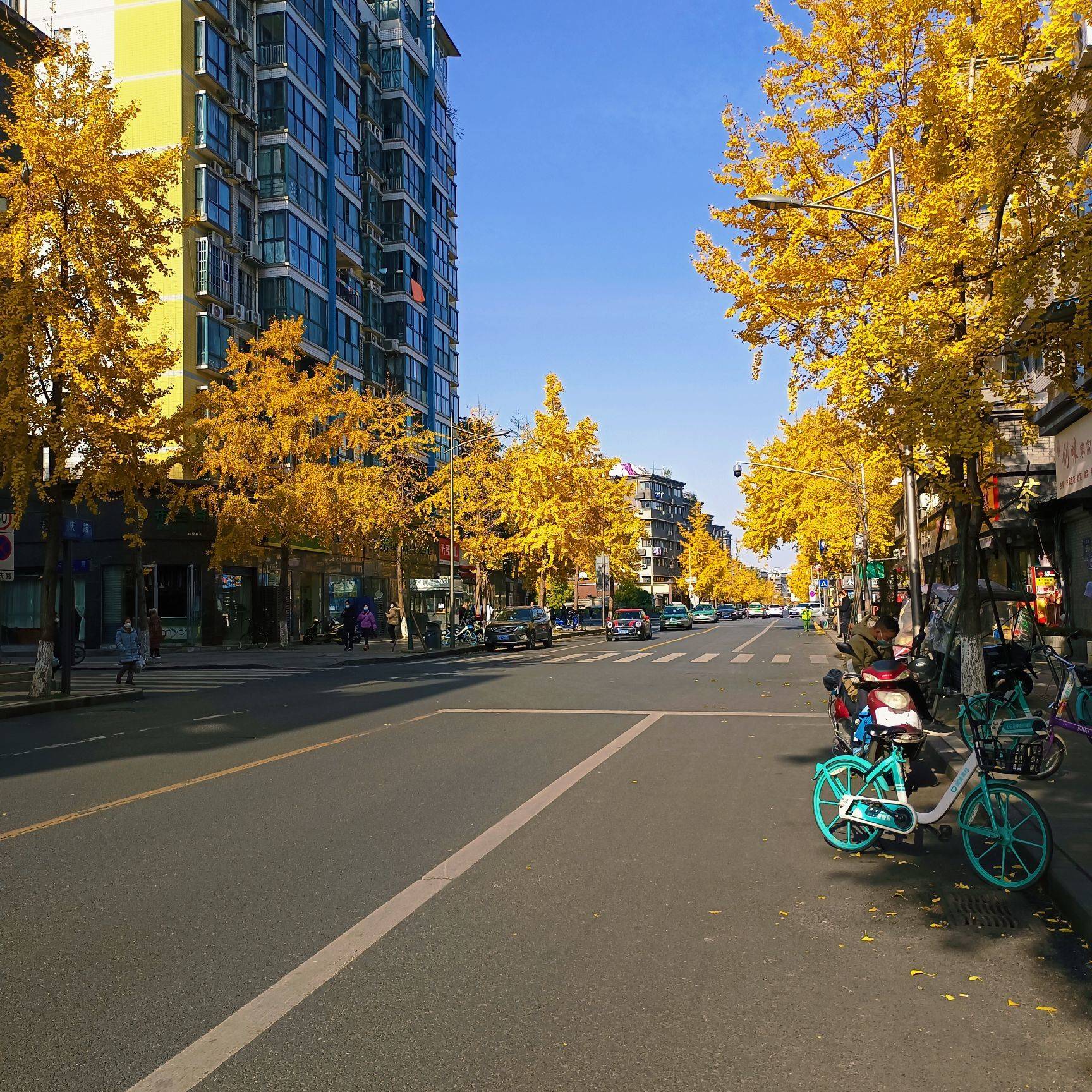 成都 青羊 | 怡景园_5