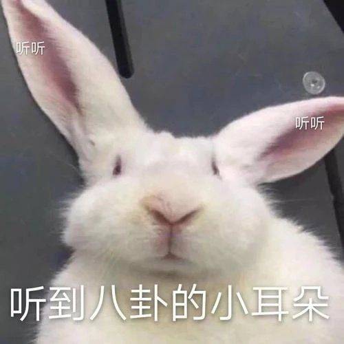 无有票票