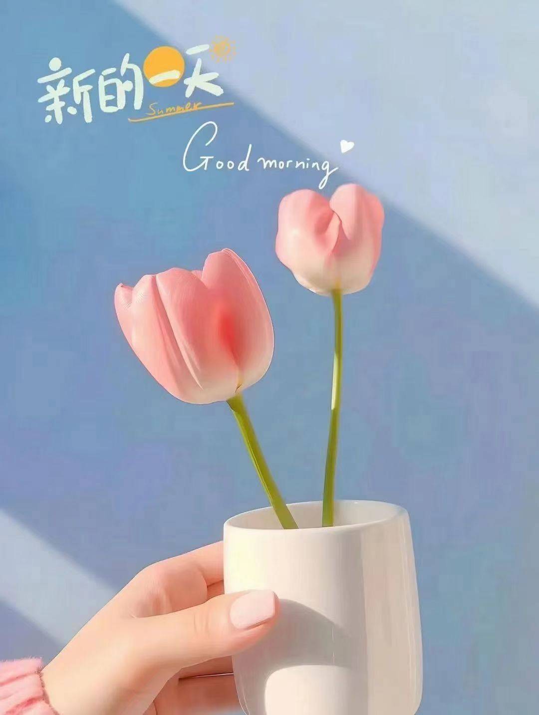 业主直租