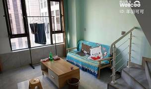 Zhengzhou-Jinshui-Cozy Home,Clean&Comfy,Hustle & Bustle