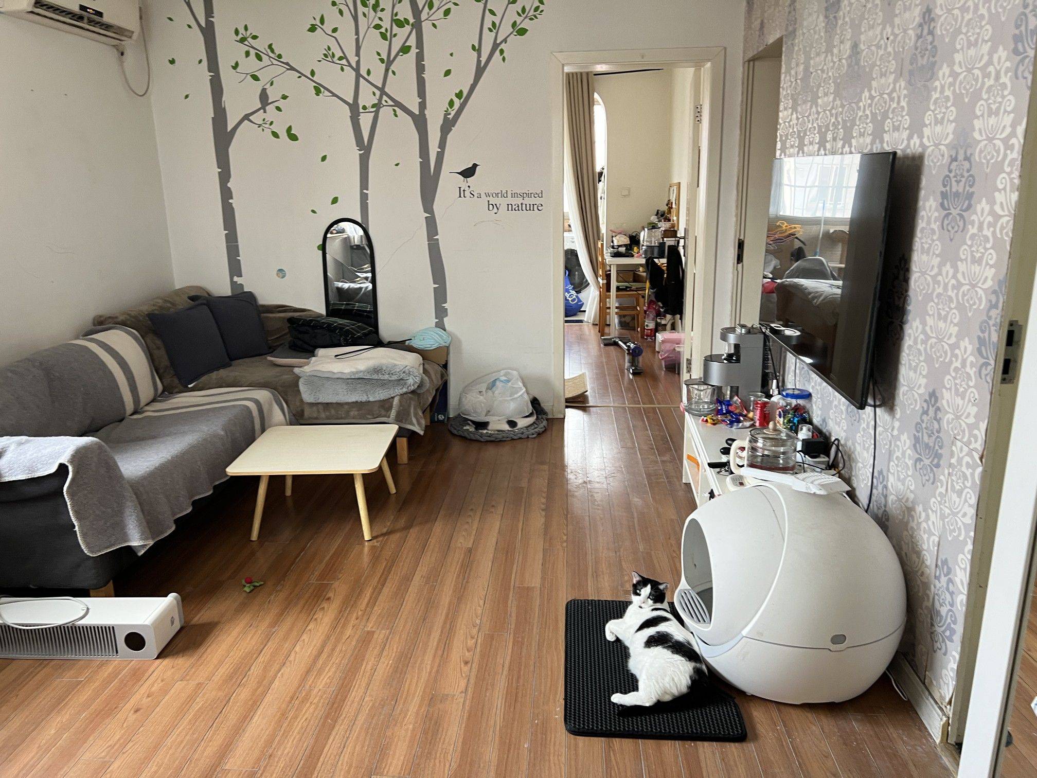 Shanghai-Changning-Cozy Home,Clean&Comfy,No Gender Limit