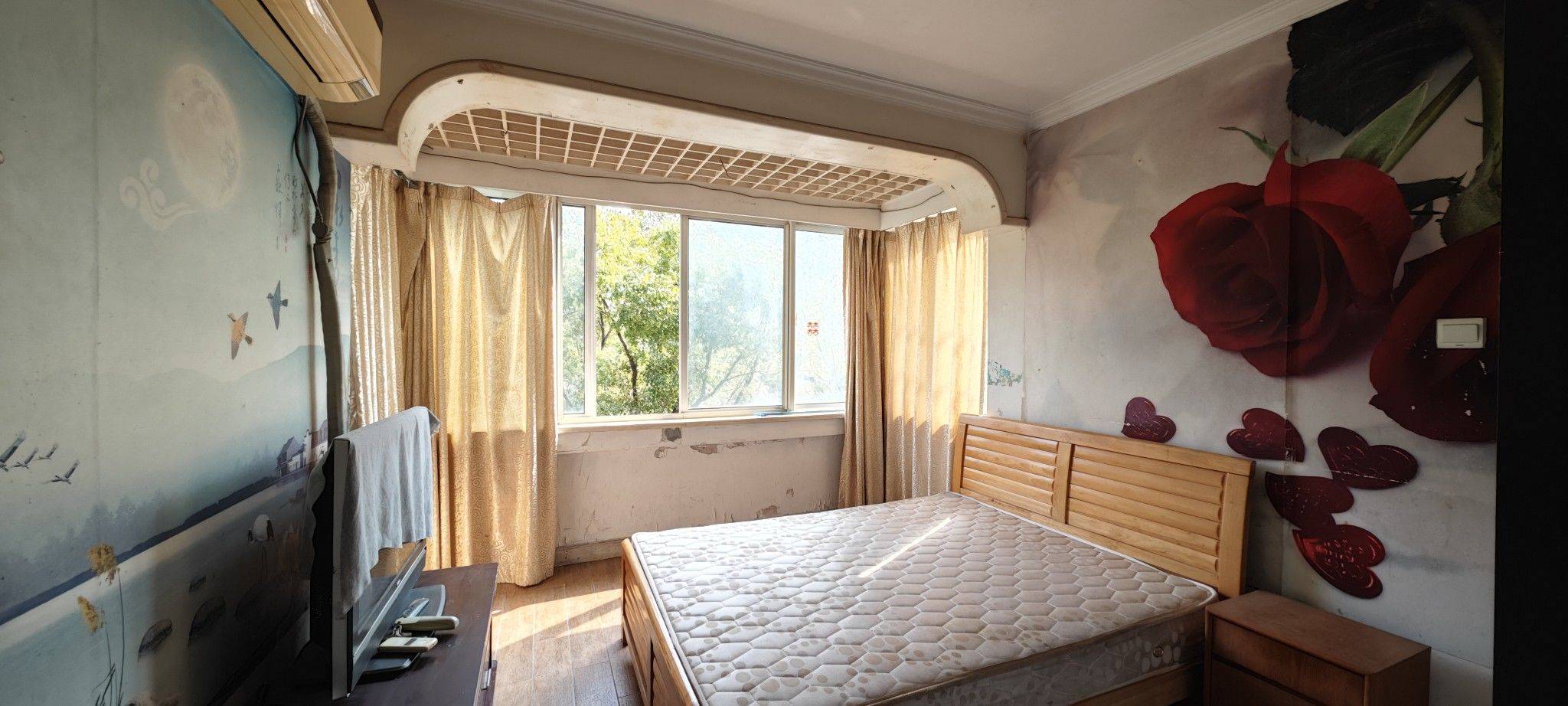 上海-松江-9号线九亭站口60多米,温馨小窝,干净治愈