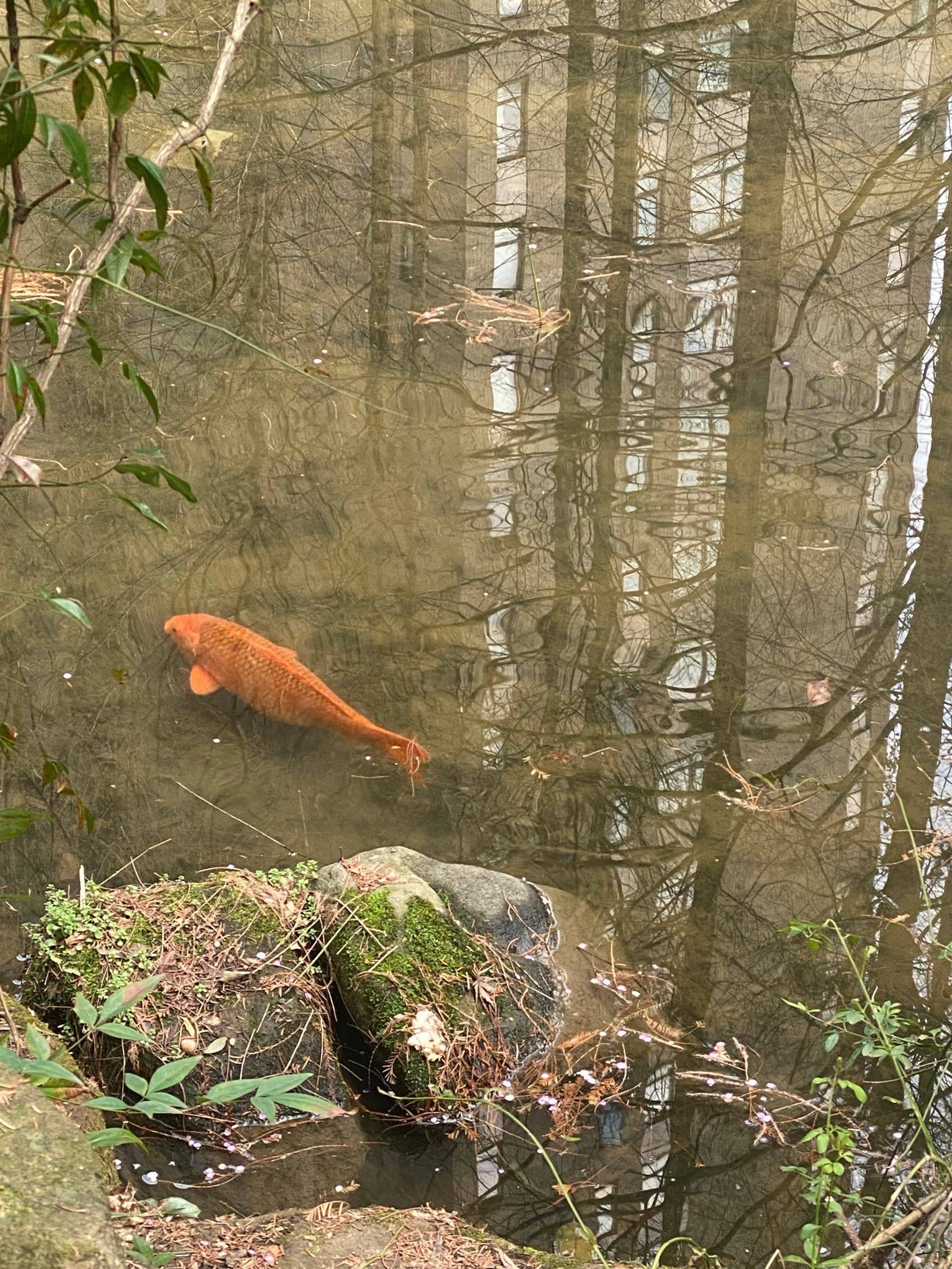 一切都好