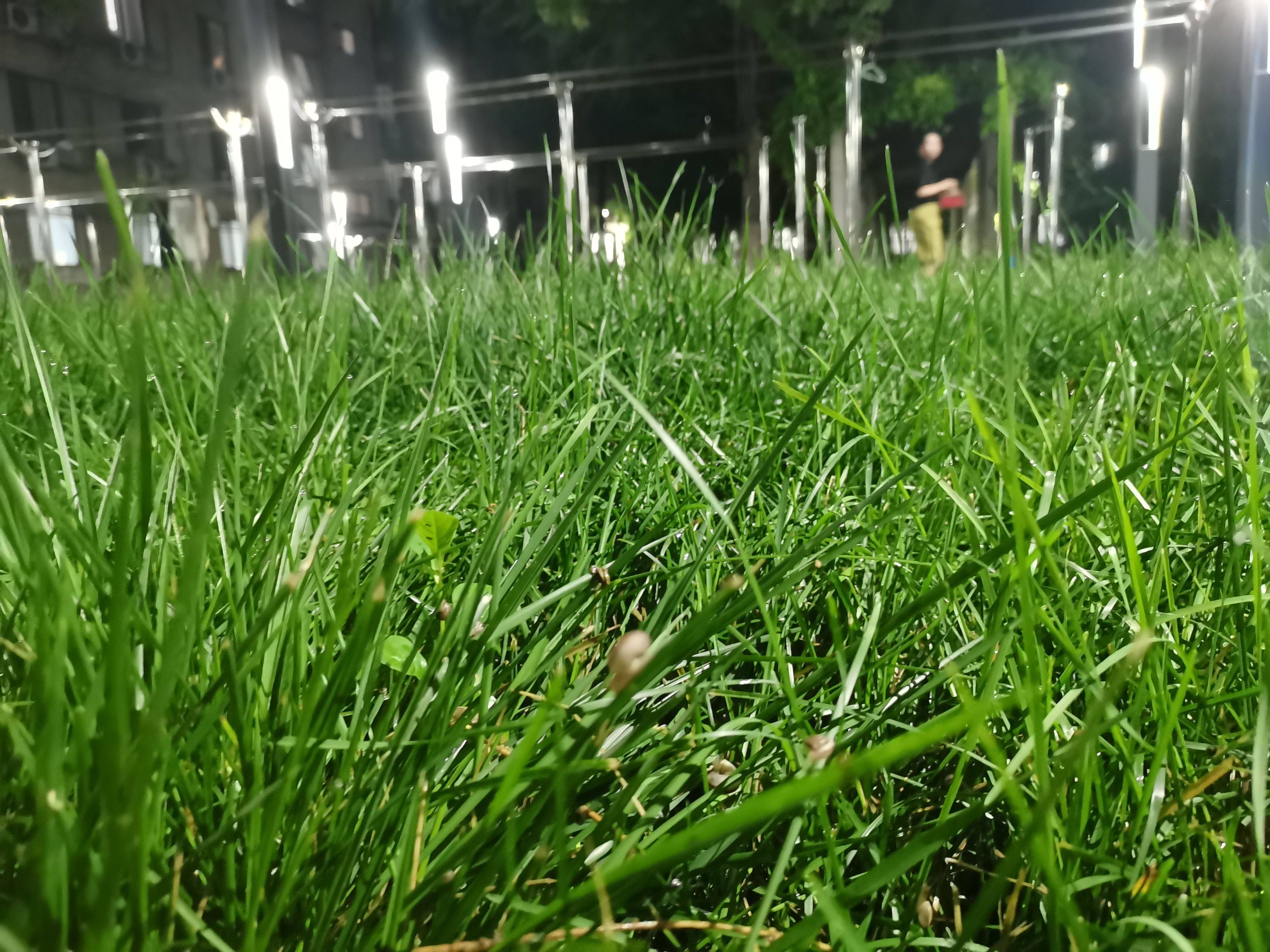 臭臭的庇佑着我们