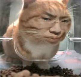 向前一小步