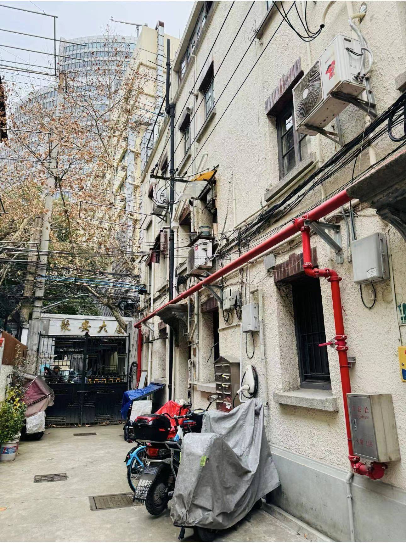 上海-靜安-溫馨小窩,乾淨治愈,不限性別,市井煙火氣,老友記,慢時光,LGBTQ友好,寵物友好