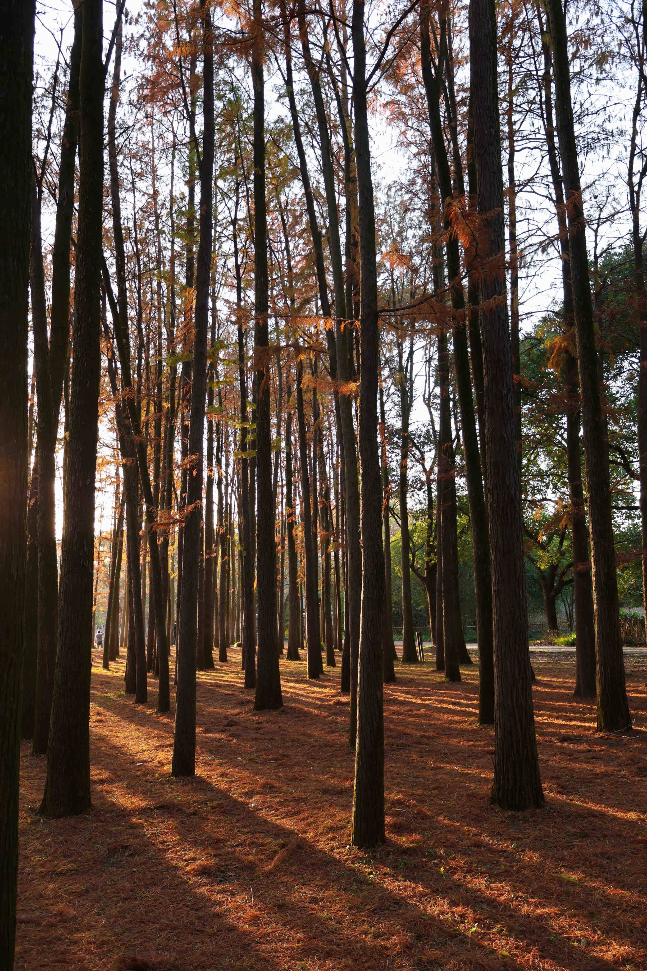 life_photo_2