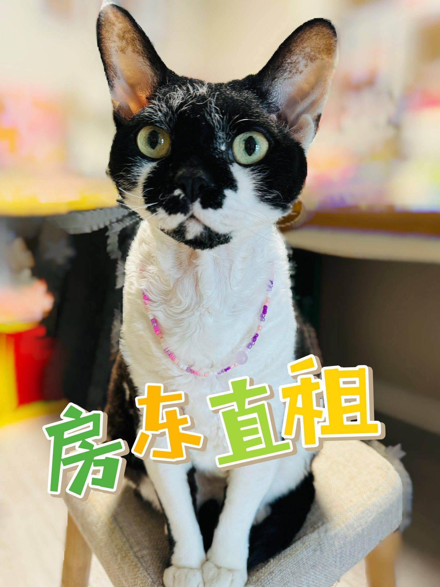 郭申申