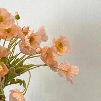 田