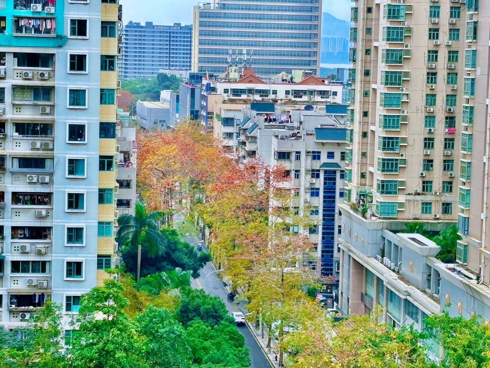 huangmeilan
