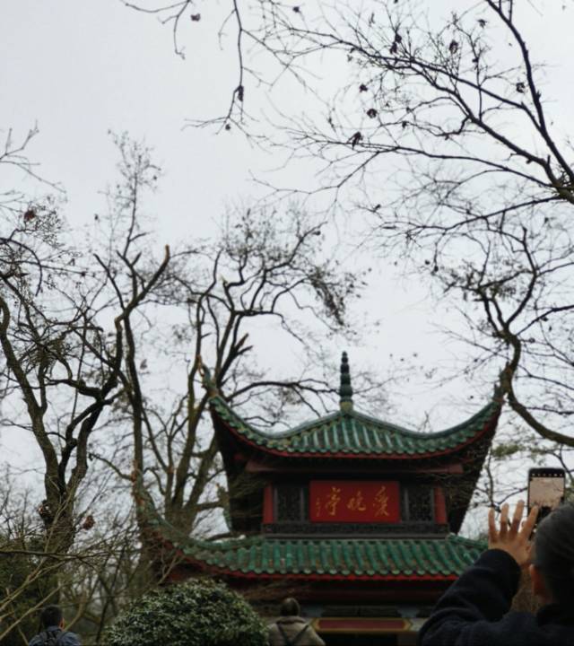 小鱼