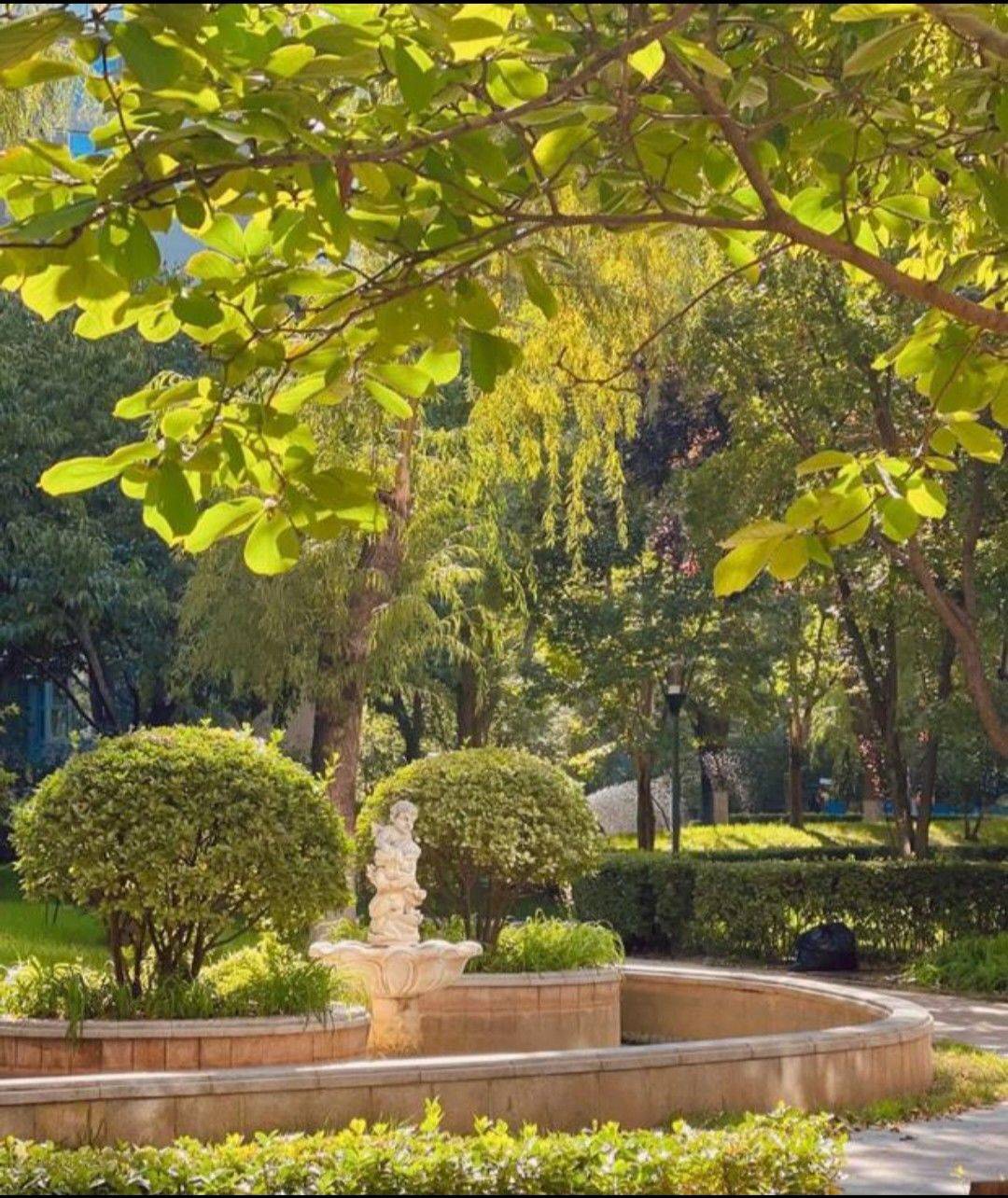 Beijing-Chaoyang-Cozy Home,Clean&Comfy,No Gender Limit,Pet Friendly