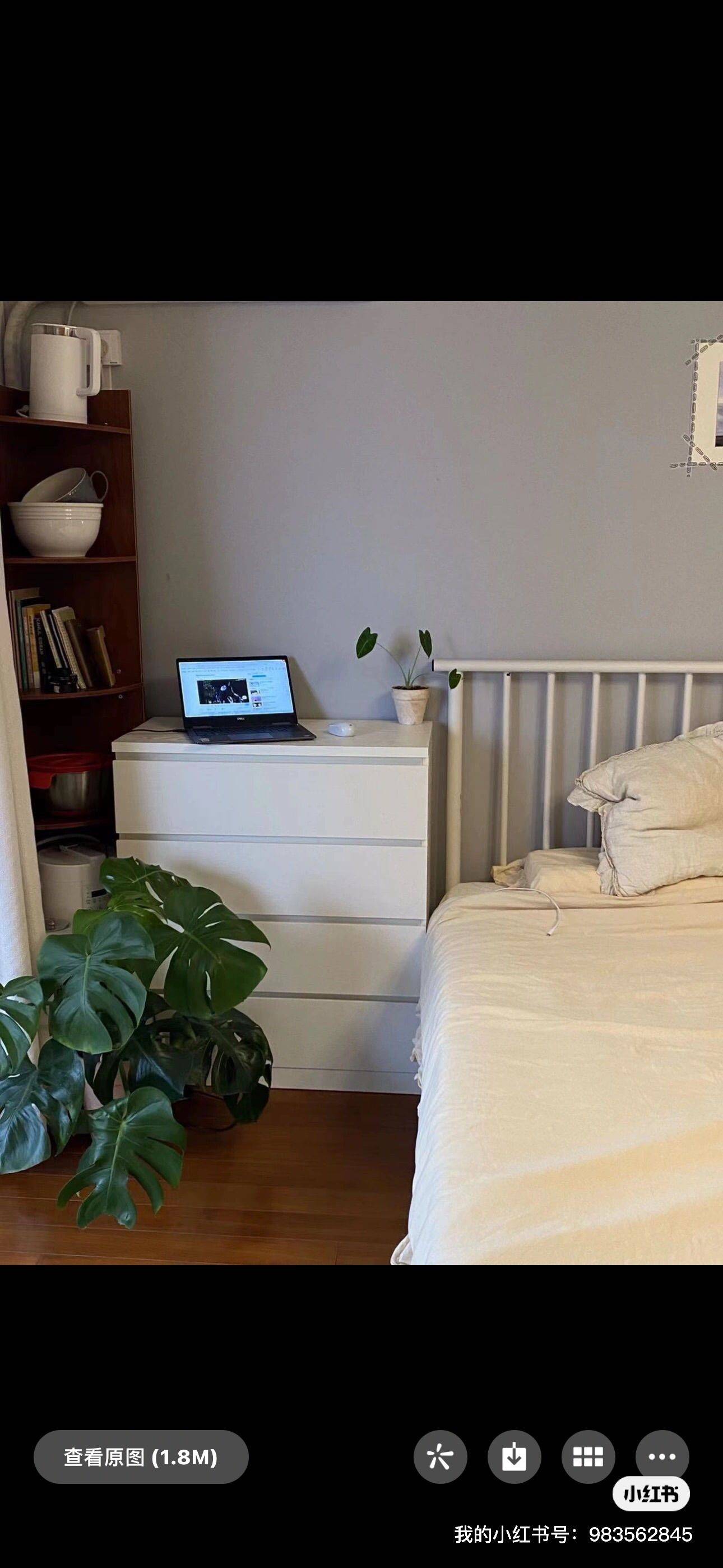 Shanghai-Changning-Cozy Home,Clean&Comfy,No Gender Limit,Hustle & Bustle,“Friends”,Chilled,Pet Friendly