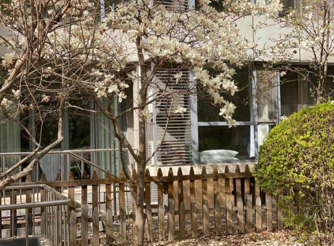 Beijing-Chaoyang-Cozy Home,Clean&Comfy,No Gender Limit,Pet Friendly