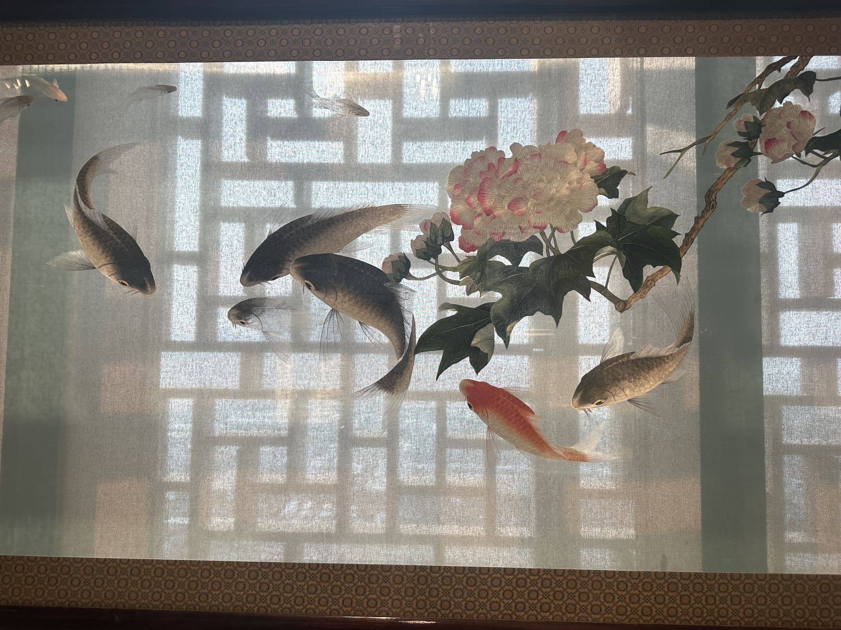花猫