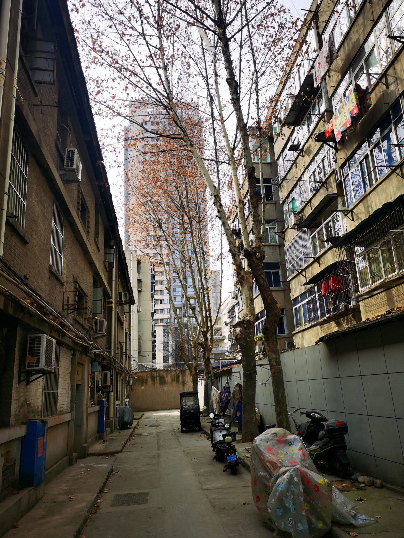 西安 碑林 | 西北有色地质勘查局物化探总队家属院_7