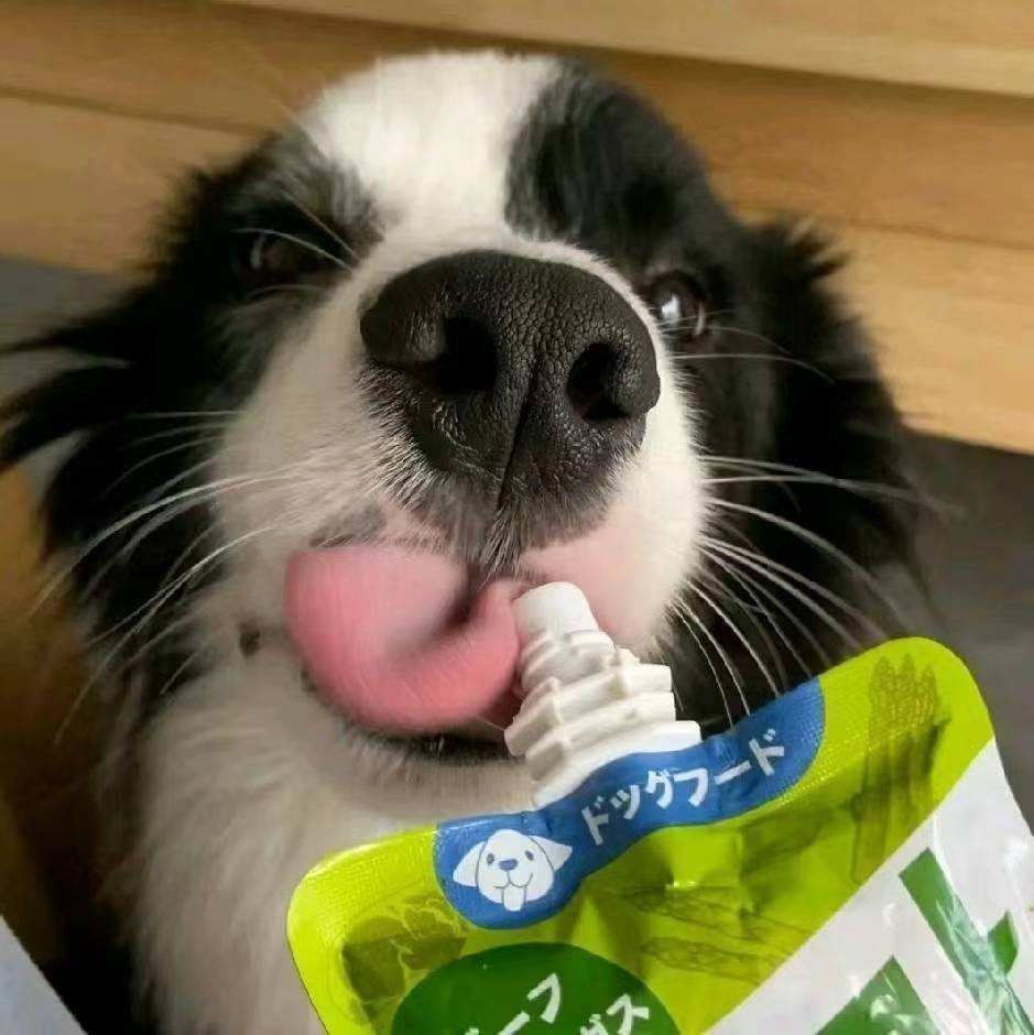 陈志宇