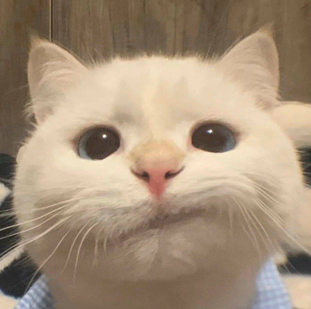Derwaine