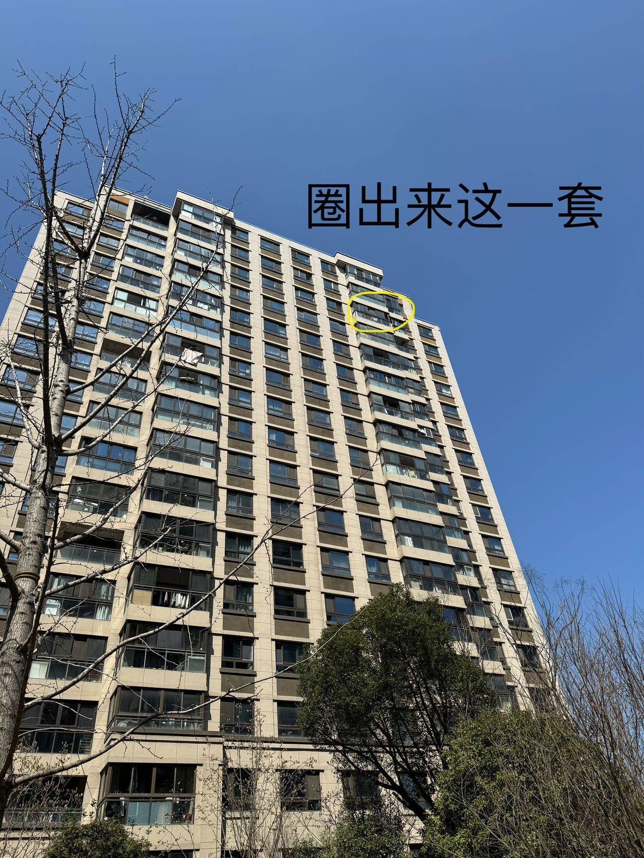 上海-松江-房东直租,寵物友好,LGBTQ友好,溫馨小窩,乾淨治愈,不限性別,市井煙火氣,老友記,慢時光