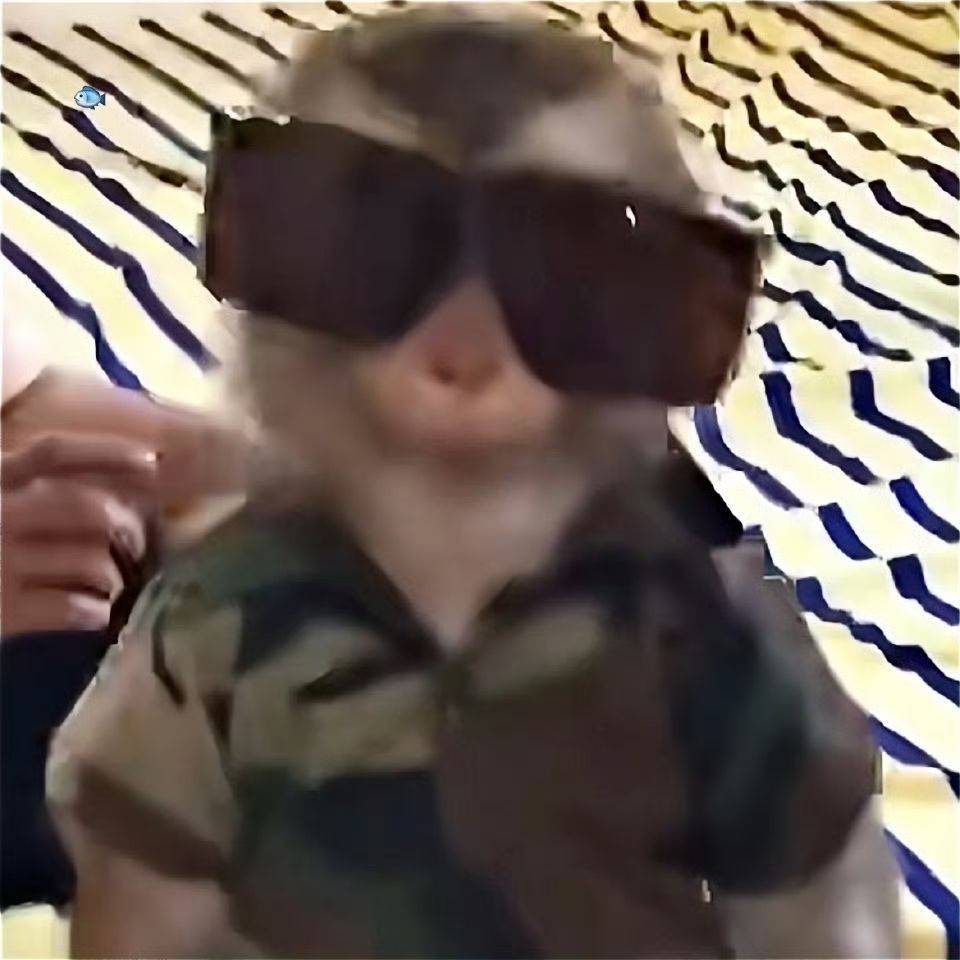 xjsj