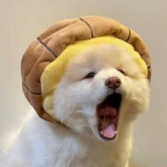 笑颜猫
