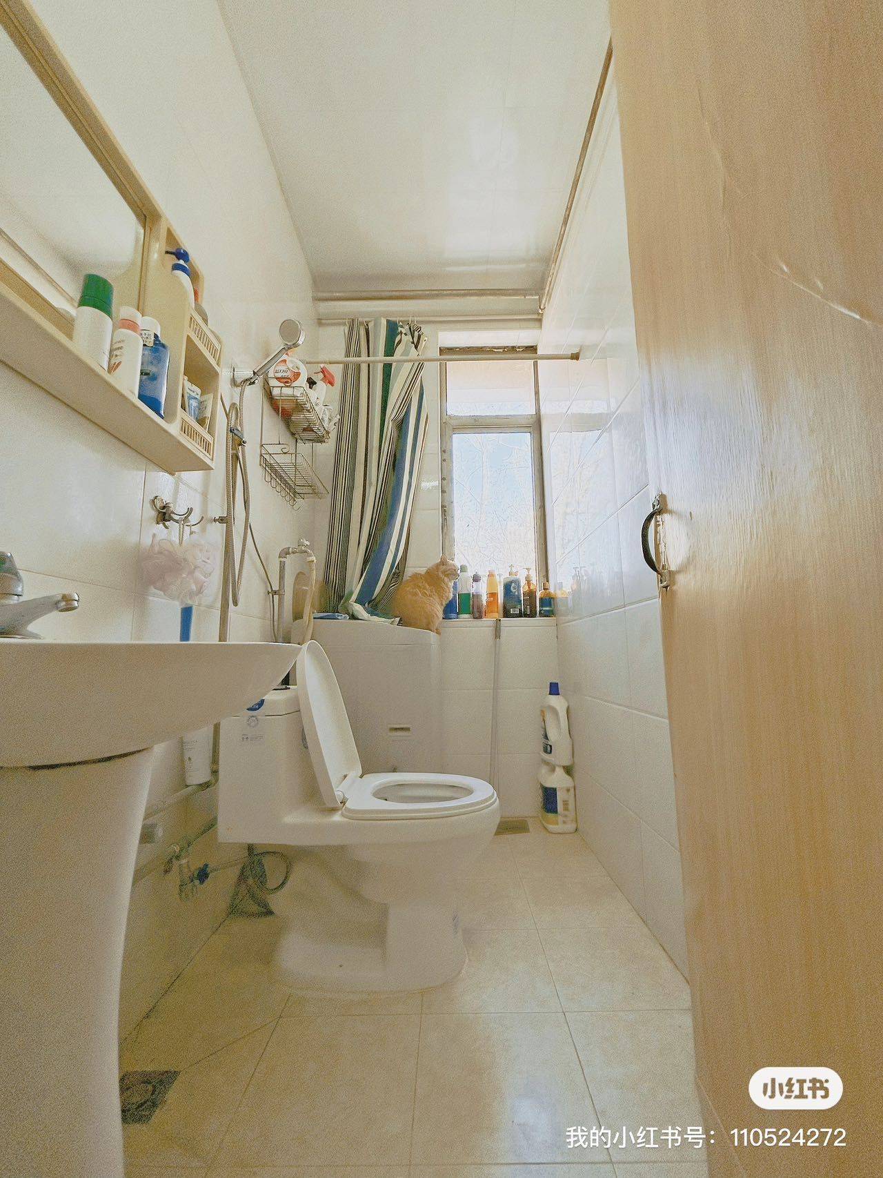 Beijing-Chaoyang-Cozy Home,Hustle & Bustle,LGBTQ Friendly