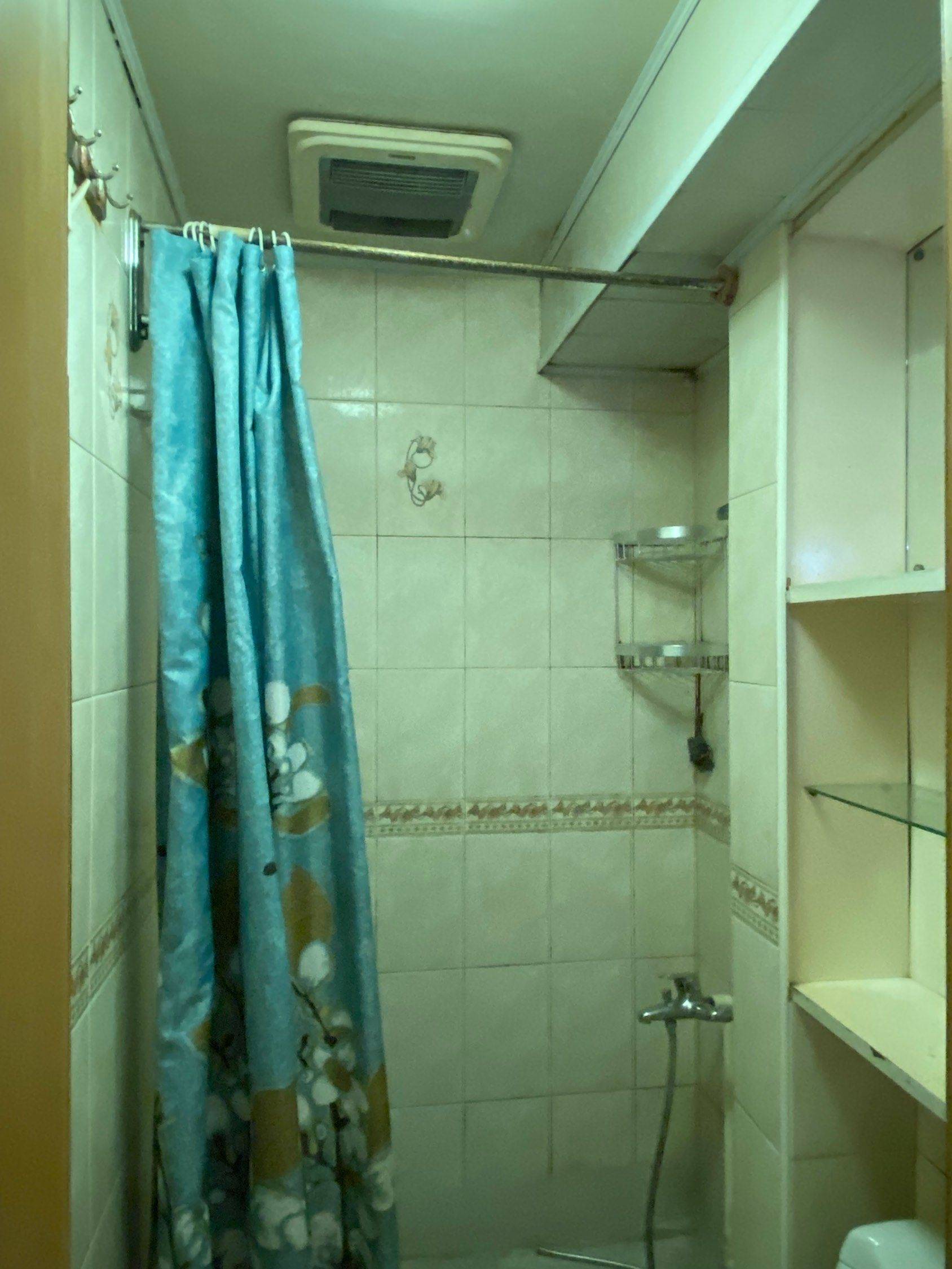 上海-普陀-溫馨小窩,不限性別,寵物友好