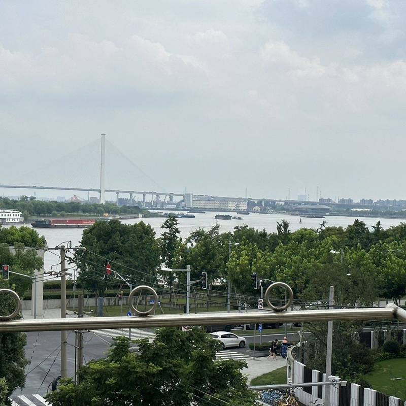 上海 徐汇 | 滨江小区1249弄50号_6