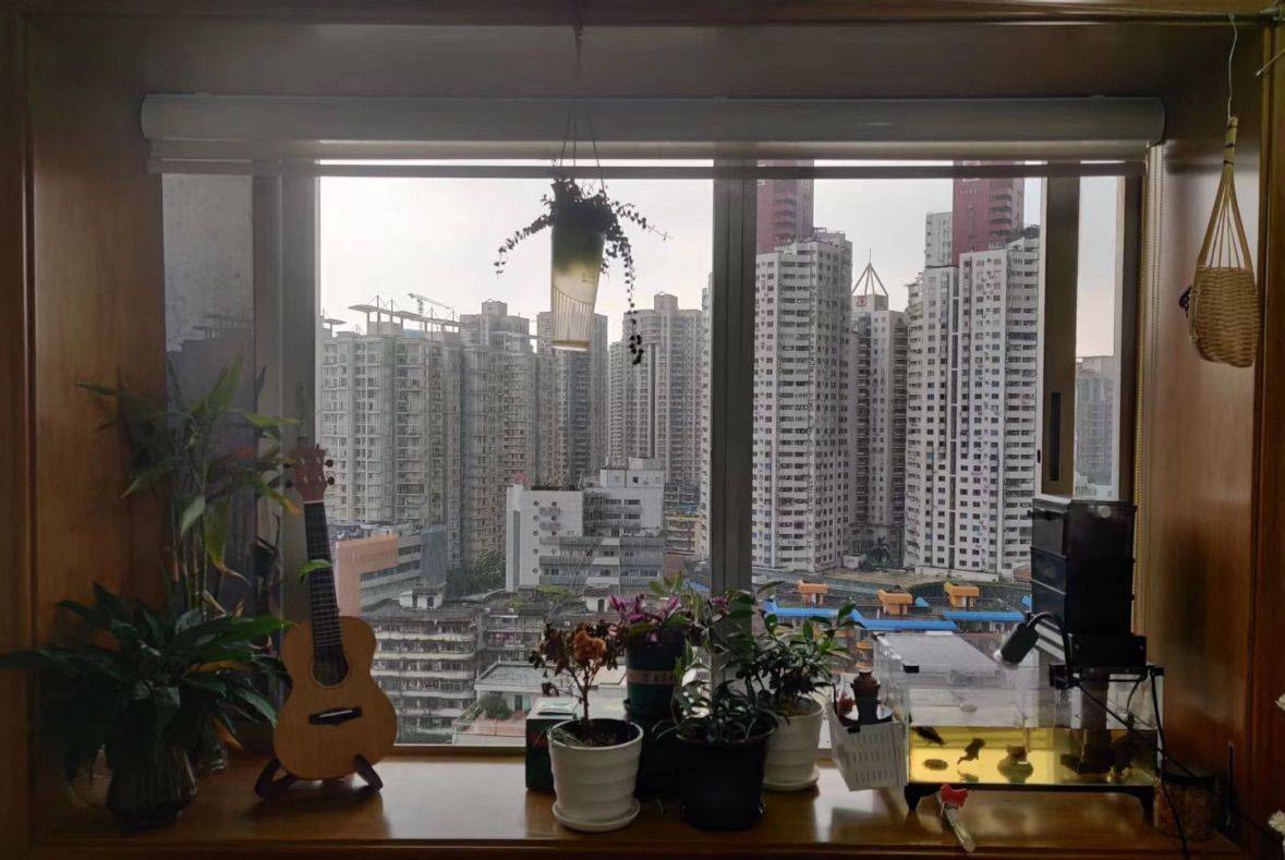 Shenzhen-Luohu-Cozy Home,Clean&Comfy,No Gender Limit,Hustle & Bustle