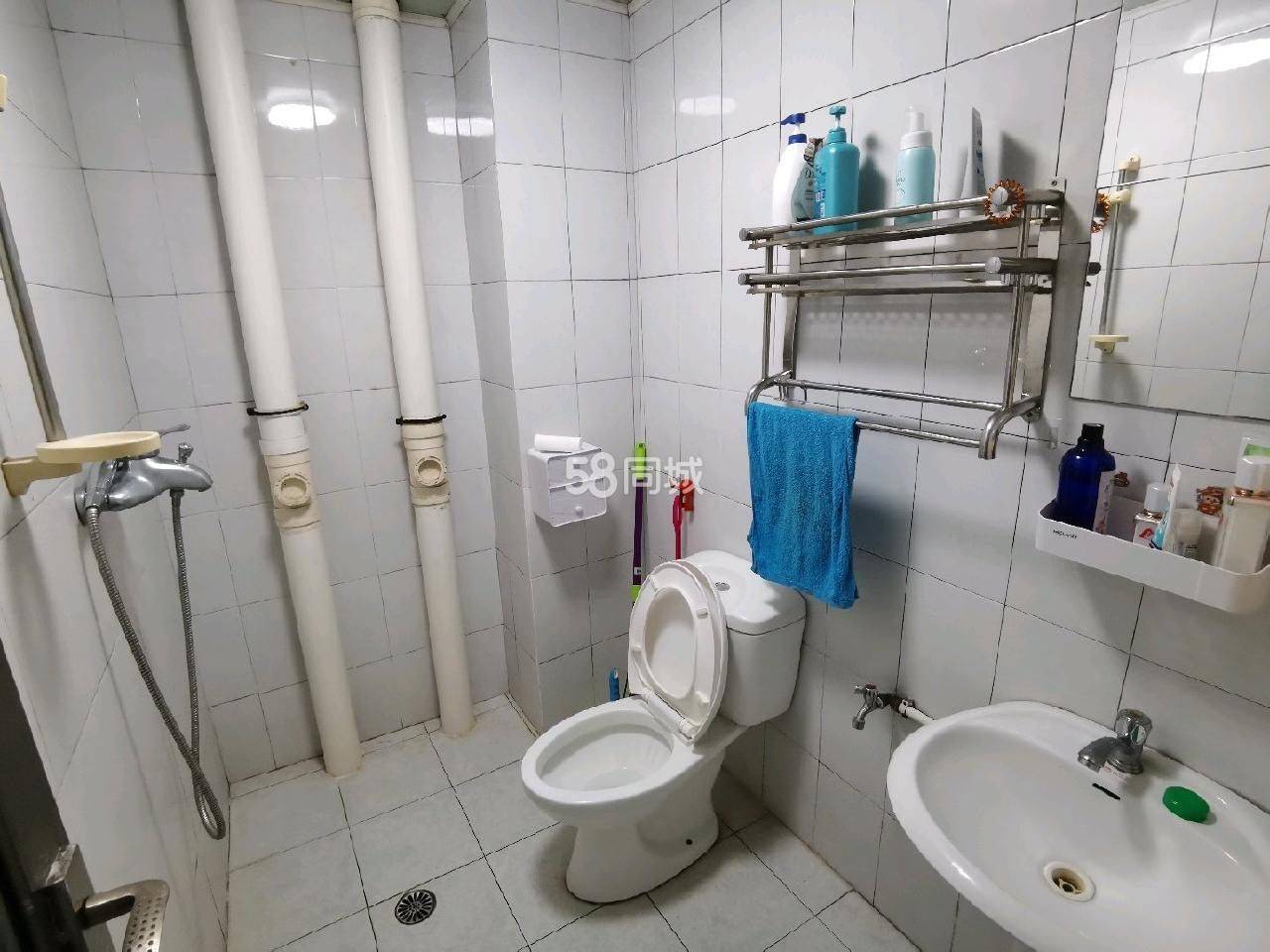 Shenzhen-Nanshan-Cozy Home,No Gender Limit,Hustle & Bustle