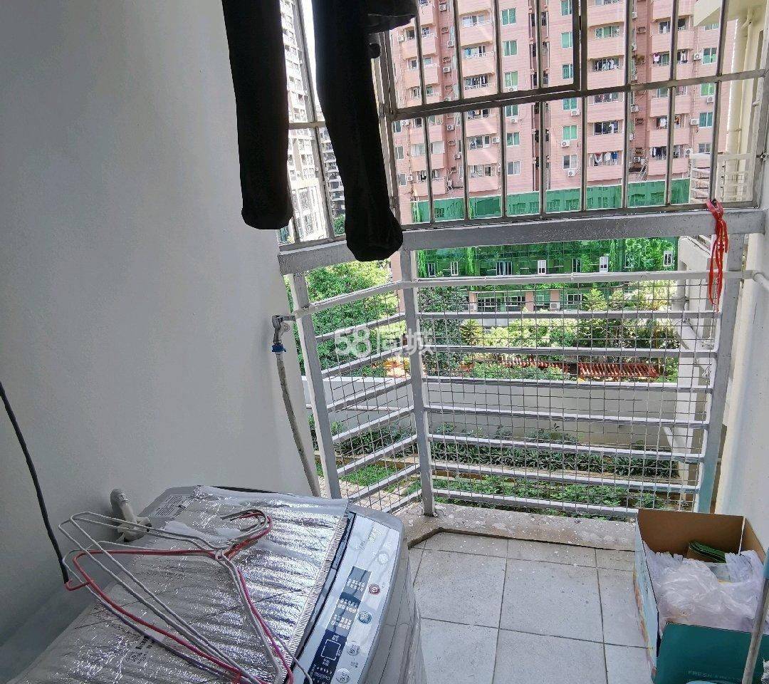 Shenzhen-Nanshan-Cozy Home,No Gender Limit,Hustle & Bustle