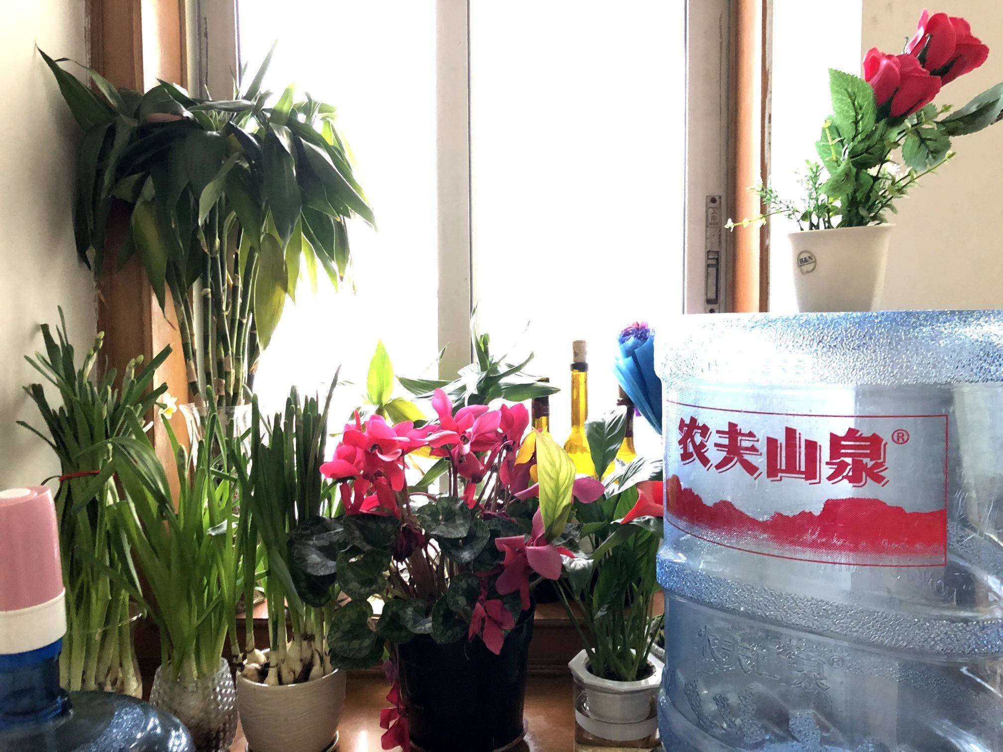 Shanghai-Jiading-No Gender Limit