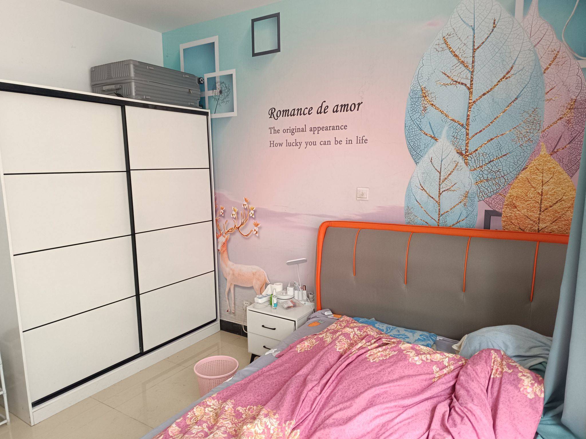 上海-松江-溫馨小窩,寵物友好