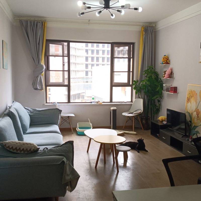 Chengdu-Shuangliu-Cozy Home,Clean&Comfy,No Gender Limit,Pet Friendly
