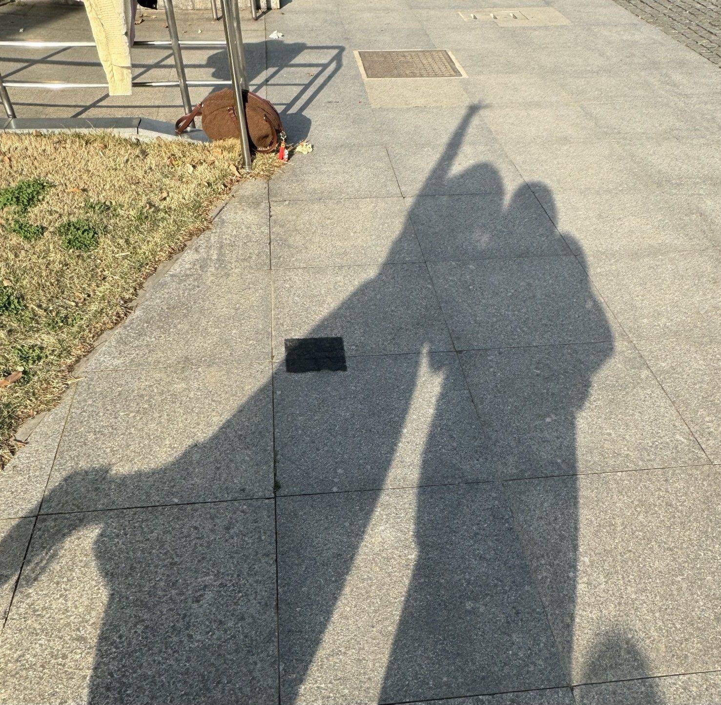 戴帽子的pp狗