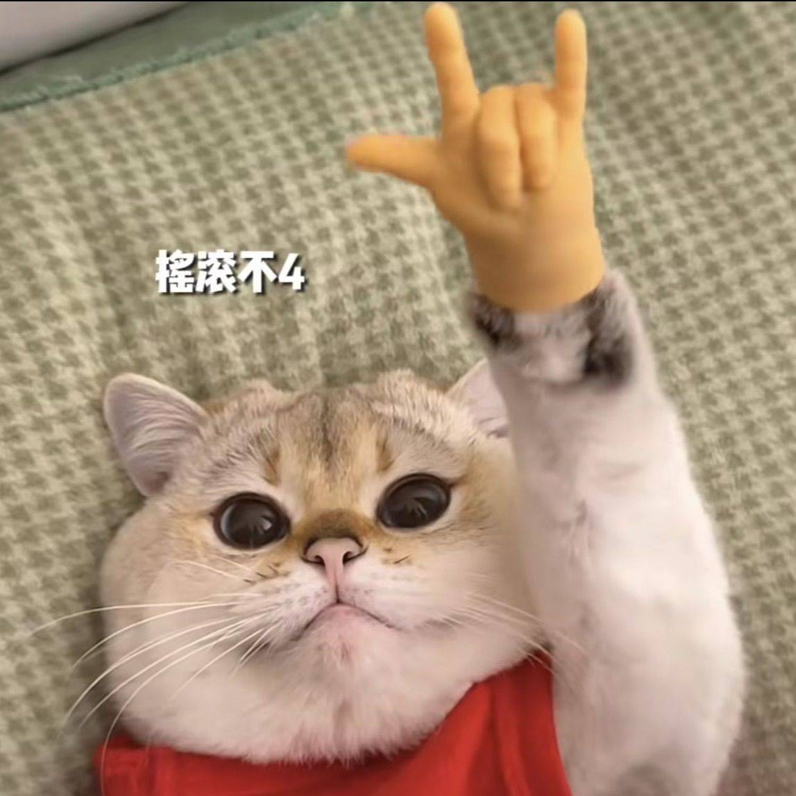 JinJo11