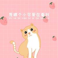 菠萝🍍菠萝