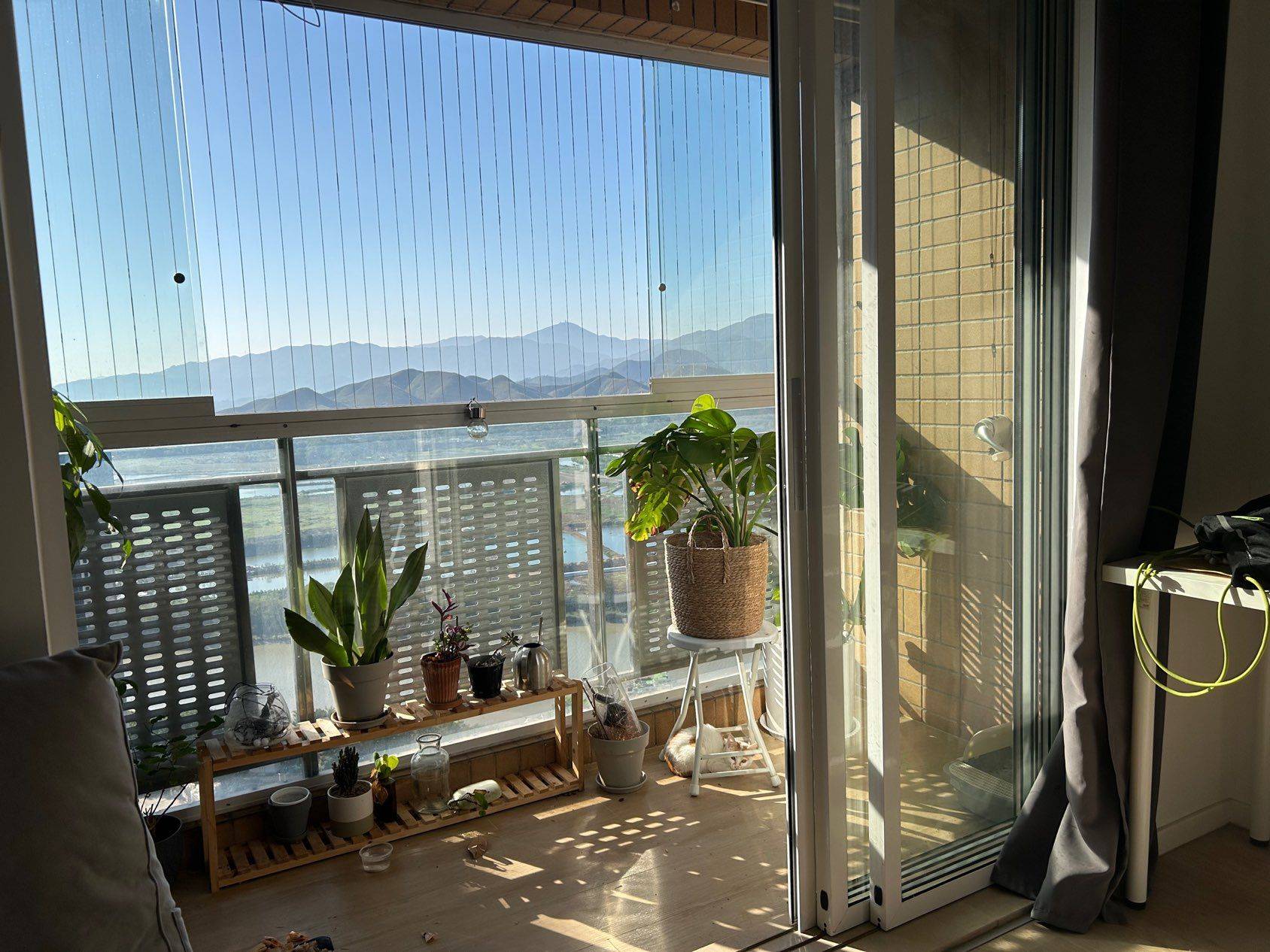 福田 赤尾 chiwei