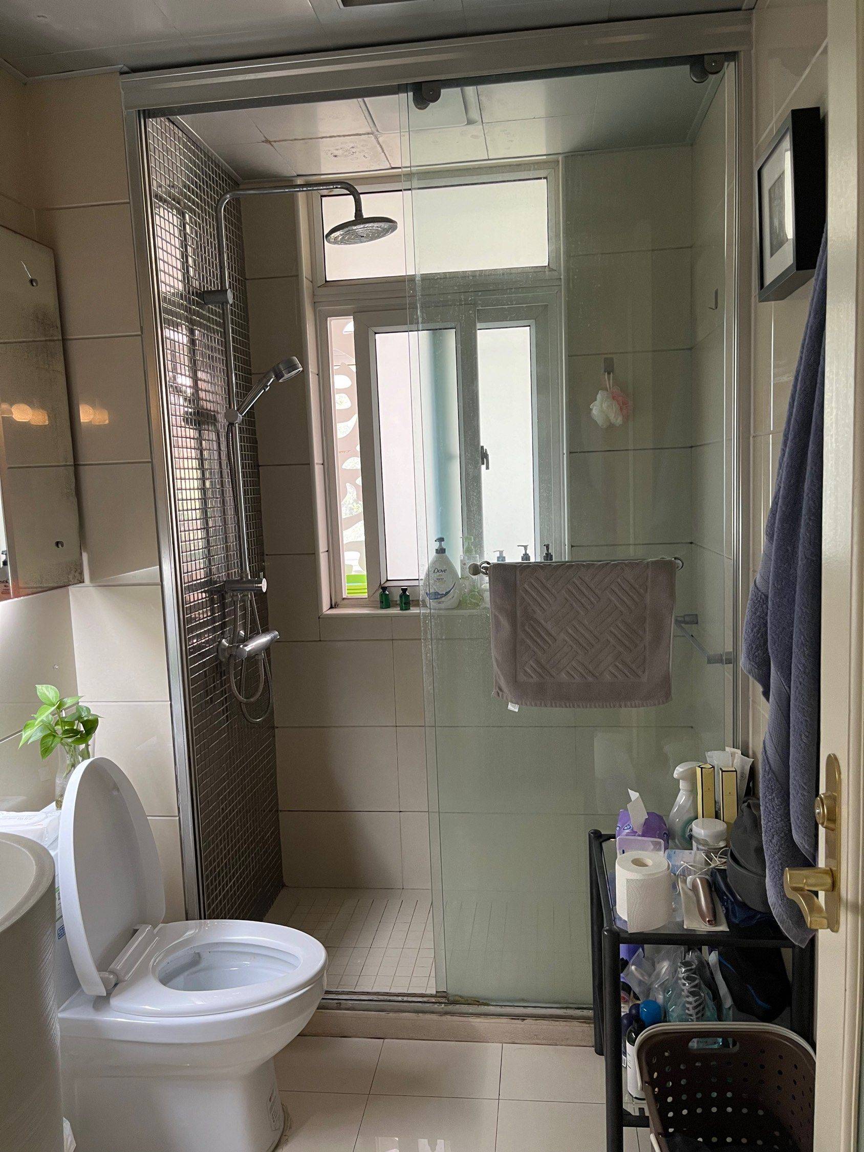 Shanghai-Jing‘An-Cozy Home,Clean&Comfy,No Gender Limit,“Friends”,Pet Friendly